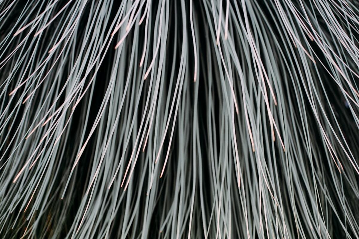 ZBLAN in Space: How Microgravity Fiber Factories Could Rewire Light